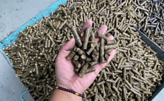 木屑顆粒機(jī)廠家告訴你生物質(zhì)顆粒燃料燃燒不充分的問(wèn)題，該如何解決?