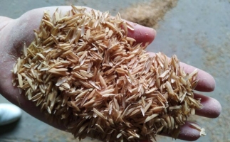 為什么稻殼較難燃燼?稻殼顆粒機(jī)生產(chǎn)顆粒幾個(gè)步驟？